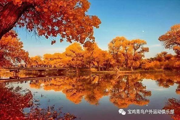 巧虎踢足球