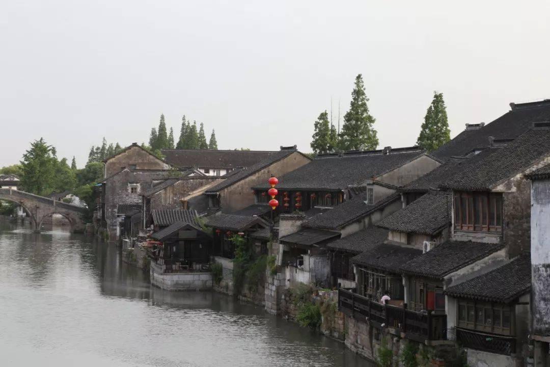 七星关区：把惠民生写在主题教育的答卷上