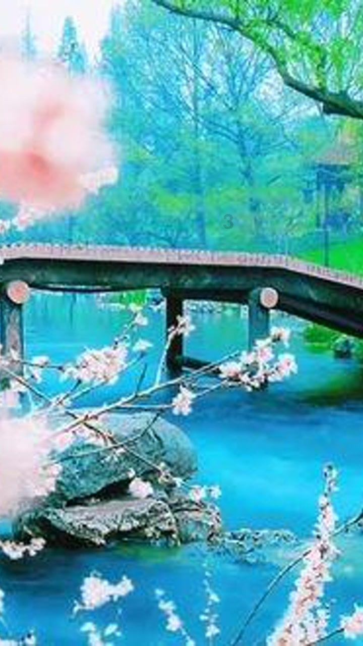 绿茵之巅